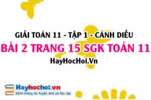 Giải bài 2 trang 15 Toán 11 tập 1 SGK Cánh Diều